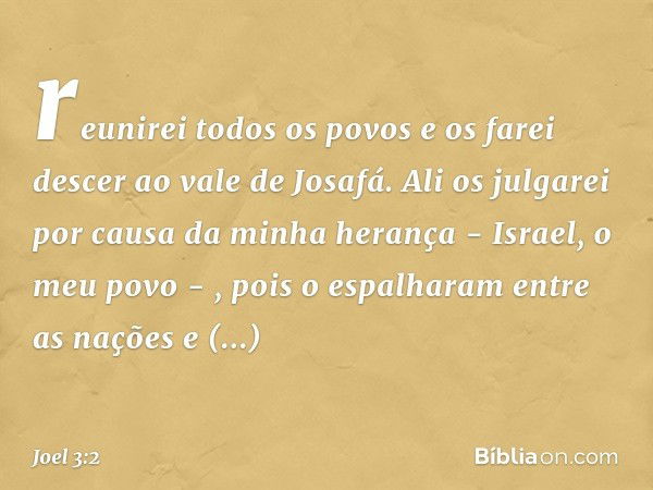 reunirei todos os povos
e os farei descer ao vale de Josafá.
Ali os julgarei
por causa da minha herança
- Israel, o meu povo - ,
pois o espalharam
entre as naçõ