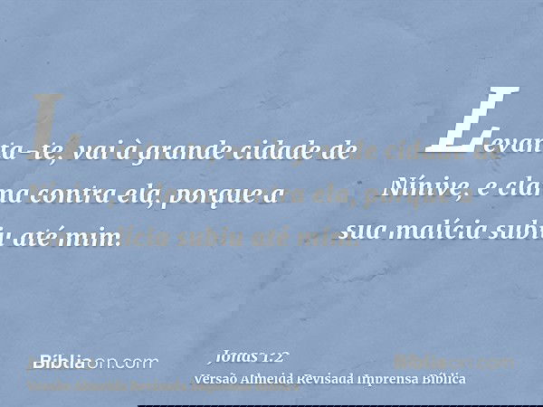 Levanta-te, vai à grande cidade de Nínive, e clama contra ela, porque a sua malícia subiu até mim.