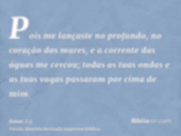 Pois me lançaste no profundo, no coração dos mares, e a corrente das águas me cercou; todas as tuas ondas e as tuas vagas passaram por cima de mim.