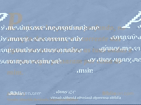 Pois me lançaste no profundo, no coração dos mares, e a corrente das águas me cercou; todas as tuas ondas e as tuas vagas passaram por cima de mim.