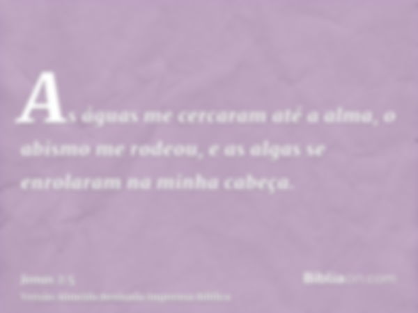 As águas me cercaram até a alma, o abismo me rodeou, e as algas se enrolaram na minha cabeça.