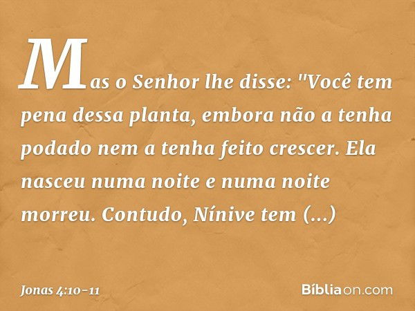 Mas o Senhor lhe disse: "Você tem pena dessa planta, embora não a tenha podado nem a tenha feito crescer. Ela nasceu numa noite e numa noite morreu. Contudo, Ní