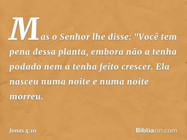 Mas o Senhor lhe disse: "Você tem pena dessa planta, embora não a tenha podado nem a tenha feito crescer. Ela nasceu numa noite e numa noite morreu. -- Jonas 4: