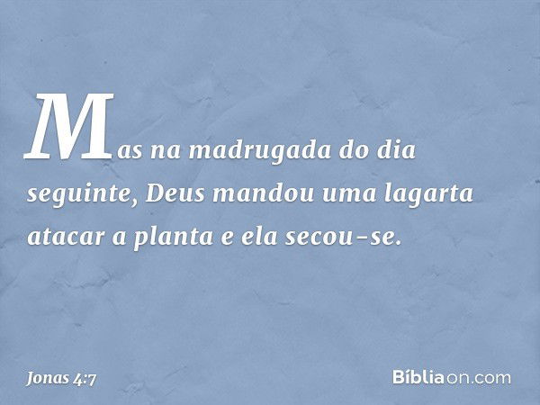 Mas na madrugada do dia seguinte, Deus mandou uma lagarta atacar a planta e ela secou-se. -- Jonas 4:7