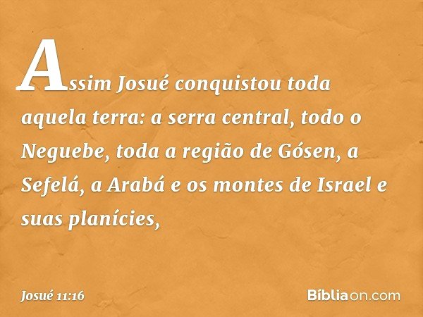 Assim Josué conquistou toda aquela terra: a serra central, todo o Neguebe, toda a região de Gósen, a Sefelá, a Arabá e os montes de Israel e suas planícies, -- 
