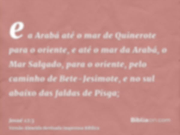 e a Arabá até o mar de Quinerote para o oriente, e até o mar da Arabá, o Mar Salgado, para o oriente, pelo caminho de Bete-Jesimote, e no sul abaixo das faldas 