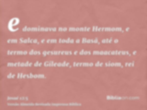 e dominava no monte Hermom, e em Salca, e em toda a Basã, até o termo dos gesureus e dos maacateus, e metade de Gileade, termo de siom, rei de Hesbom.