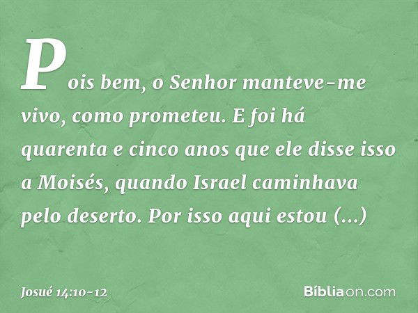 "Pois bem, o Senhor manteve-me vivo, como prometeu. E foi há quarenta e cinco anos que ele disse isso a Moisés, quando Israel caminhava pelo deserto. Por isso a