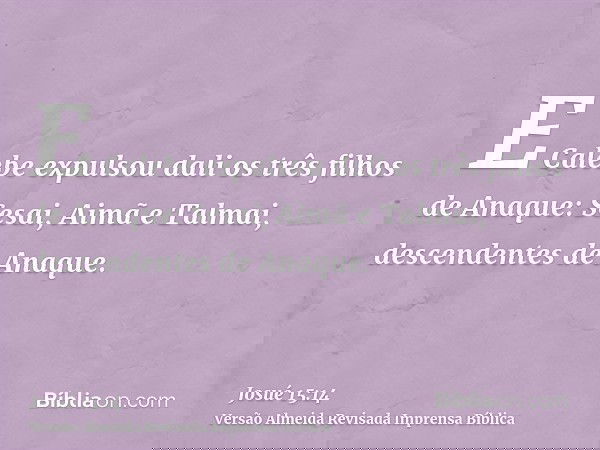 E Calebe expulsou dali os três filhos de Anaque: Sesai, Aimã e Talmai, descendentes de Anaque.