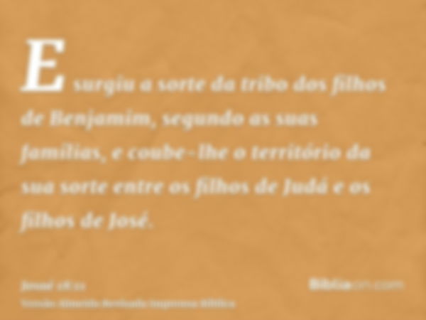 E surgiu a sorte da tribo dos filhos de Benjamim, segundo as suas famílias, e coube-lhe o território da sua sorte entre os filhos de Judá e os filhos de José.