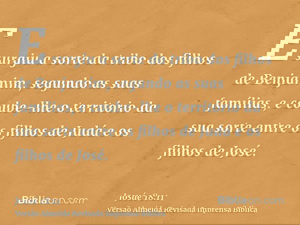 E surgiu a sorte da tribo dos filhos de Benjamim, segundo as suas famílias, e coube-lhe o território da sua sorte entre os filhos de Judá e os filhos de José.