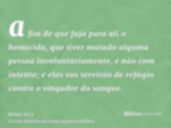 a fim de que fuja para ali o homicida, que tiver matado alguma pessoa involuntariamente, e não com intento; e elas vos servirão de refúgio contra o vingador do 