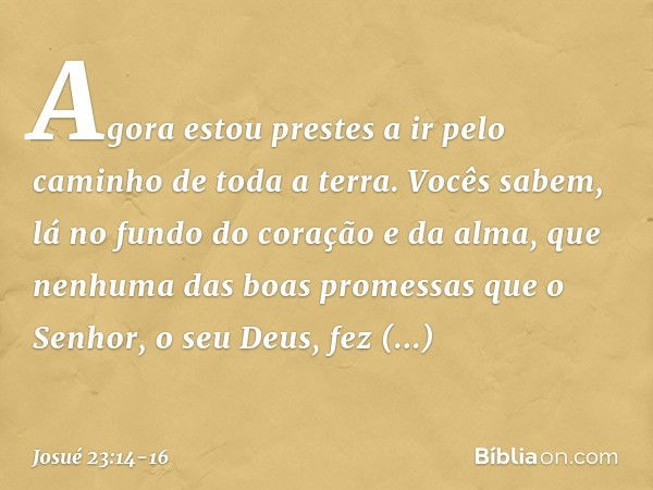 "Agora estou prestes a ir pelo caminho de toda a terra. Vocês sabem, lá no fundo do coração e da alma, que nenhuma das boas pro­messas que o Senhor, o seu Deus,