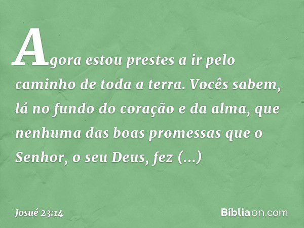 "Agora estou prestes a ir pelo caminho de toda a terra. Vocês sabem, lá no fundo do coração e da alma, que nenhuma das boas pro­messas que o Senhor, o seu Deus,