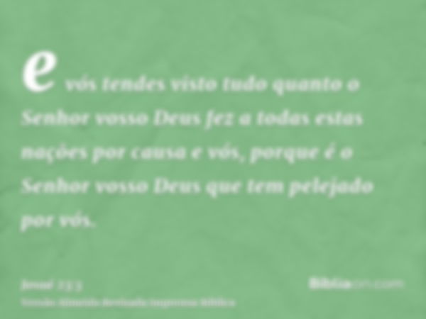 e vós tendes visto tudo quanto o Senhor vosso Deus fez a todas estas nações por causa e vós, porque é o Senhor vosso Deus que tem pelejado por vós.