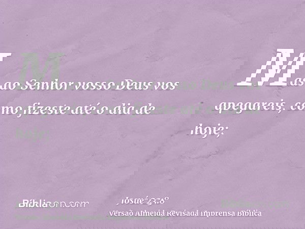 Mas ao Senhor vosso Deus vos apegareis, como fizeste até o dia de hoje;