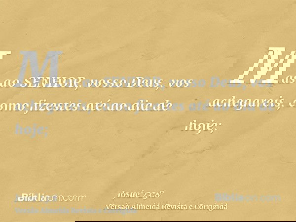 Mas ao SENHOR, vosso Deus, vos achegareis, como fizestes até ao dia de hoje;
