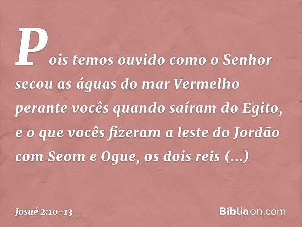 Pois temos ouvido como o Senhor secou as águas do mar Vermelho perante vocês quando saíram do Egito, e o que vocês fizeram a leste do Jordão com Seom e Ogue, os