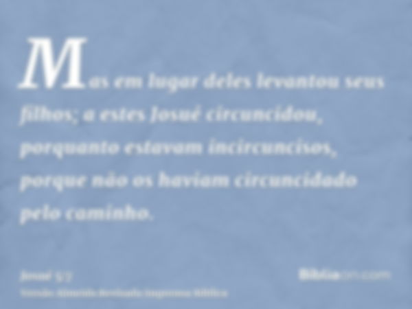 Mas em lugar deles levantou seus filhos; a estes Josué circuncidou, porquanto estavam incircuncisos, porque não os haviam circuncidado pelo caminho.