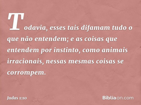 Todavia, esses tais difamam tudo o que não entendem; e as coisas que entendem por instinto, como animais irracionais, nessas mesmas coisas se corrompem. -- Juda