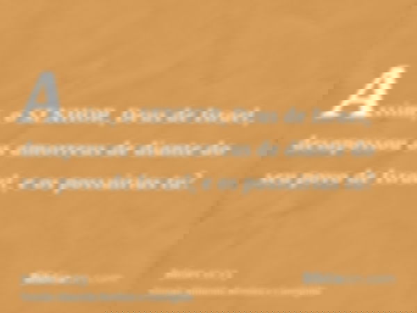 Assim, o SENHOR, Deus de Israel, desapossou os amorreus de diante do seu povo de Israel; e os possuirias tu?