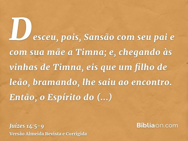 Desceu, pois, Sansão com seu pai e com sua mãe a Timna; e, chegando às vinhas de Timna, eis que um filho de leão, bramando, lhe saiu ao encontro.Então, o Espíri