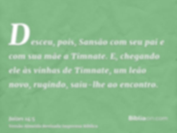 Desceu, pois, Sansão com seu pai e com sua mãe a Timnate. E, chegando ele às vinhas de Timnate, um leão novo, rugindo, saiu-lhe ao encontro.