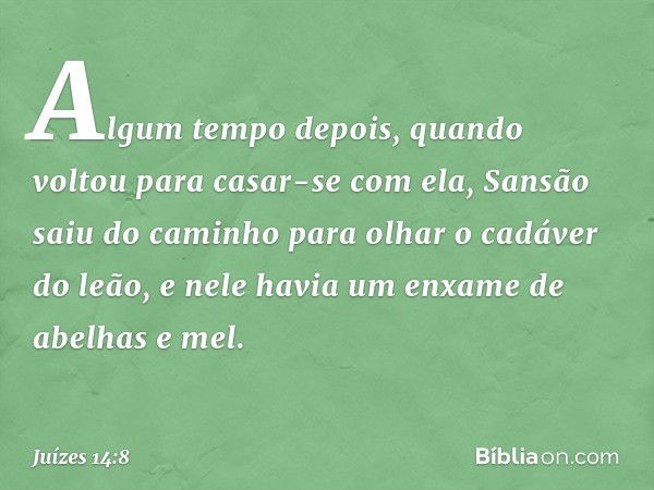 Algum tempo depois, quando voltou para casar-se com ela, Sansão saiu do caminho para olhar o cadáver do leão, e nele havia um enxame de abelhas e mel. -- Juízes