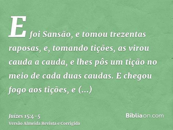 E foi Sansão, e tomou trezentas raposas, e, tomando tições, as virou cauda a cauda, e lhes pôs um tição no meio de cada duas caudas.E chegou fogo aos tições, e 