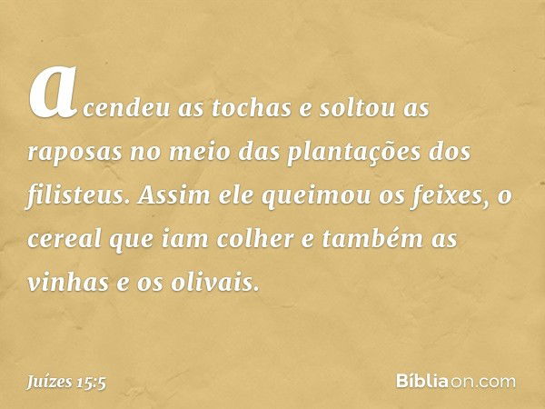 acendeu as tochas e soltou as raposas no meio das plantações dos filisteus. Assim ele queimou os feixes, o cereal que iam colher e também as vinhas e os olivais