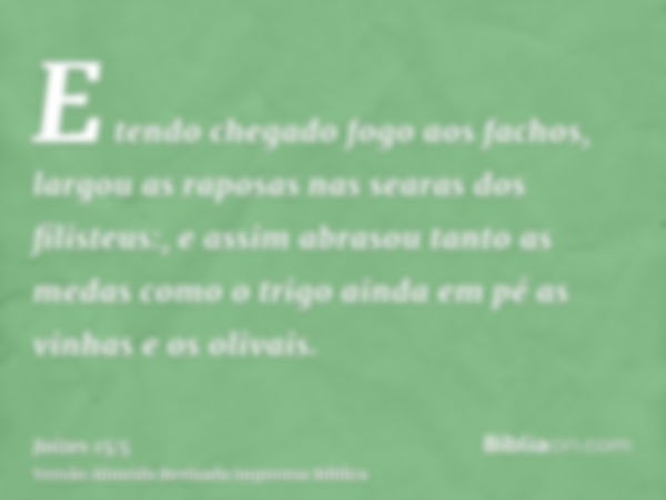 E tendo chegado fogo aos fachos, largou as raposas nas searas dos filisteus:, e assim abrasou tanto as medas como o trigo ainda em pé as vinhas e os olivais.