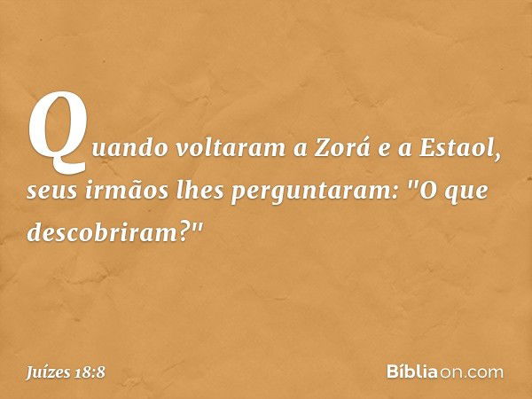 Quando voltaram a Zorá e a Estaol, seus irmãos lhes perguntaram: "O que descobriram?" -- Juízes 18:8