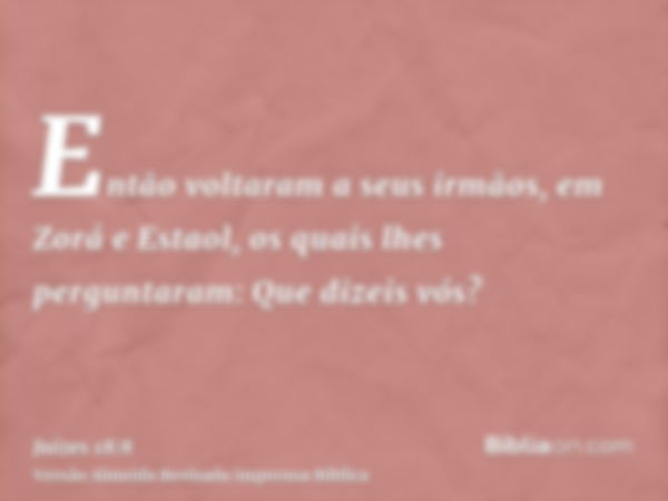 Então voltaram a seus irmãos, em Zorá e Estaol, os quais lhes perguntaram: Que dizeis vós?