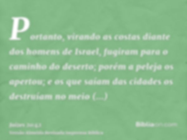 Portanto, virando as costas diante dos homens de Israel, fugiram para o caminho do deserto; porém a peleja os apertou; e os que saíam das cidades os destruíam n