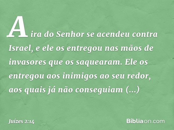 A ira do Senhor se acendeu contra Israel, e ele os entregou nas mãos de invasores que os saquearam. Ele os entregou aos inimigos ao seu redor, aos quais já não 