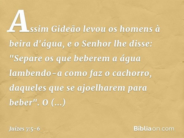 Assim Gideão levou os homens à beira d'água, e o Senhor lhe disse: "Separe os que beberem a água lambendo-a como faz o cachorro, daqueles que se ajoelharem para