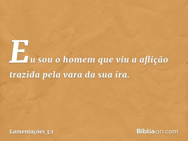 Eu sou o homem que viu a aflição
trazida pela vara da sua ira. -- Lamentações 3:1