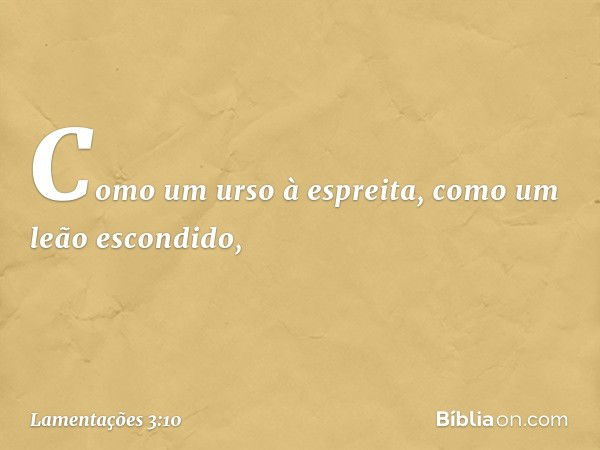 Como um urso à espreita,
como um leão escondido, -- Lamentações 3:10