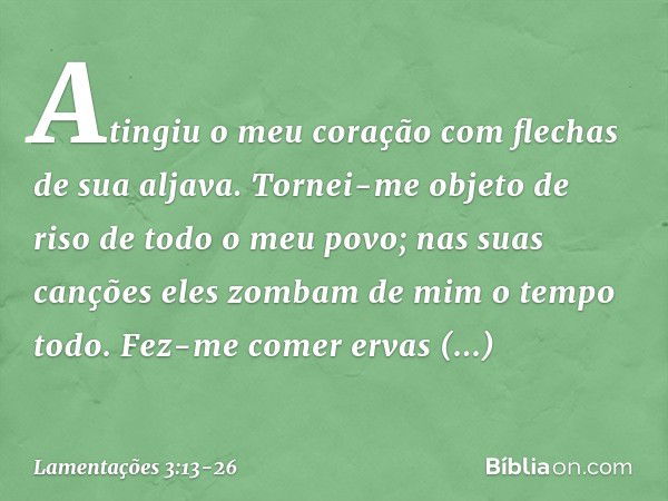 Atingiu o meu coração
com flechas de sua aljava. Tornei-me objeto de riso
de todo o meu povo;
nas suas canções
eles zombam de mim o tempo todo. Fez-me comer erv