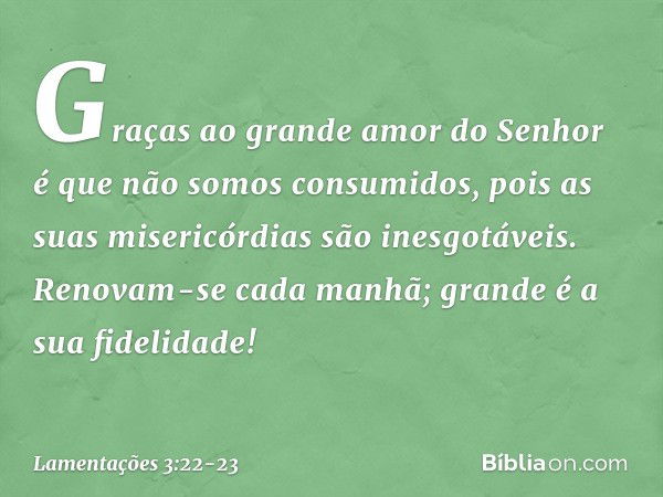 Graças ao grande amor do Senhor
é que não somos consumidos,
pois as suas misericórdias são inesgotáveis. Renovam-se cada manhã;
grande é a sua fidelidade! -- La