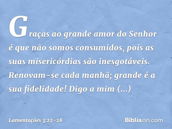 Graças ao grande amor do Senhor
é que não somos consumidos,
pois as suas misericórdias são inesgotáveis. Renovam-se cada manhã;
grande é a sua fidelidade! Digo 