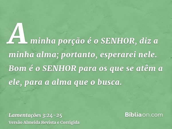 A minha porção é o SENHOR, diz a minha alma; portanto, esperarei nele.Bom é o SENHOR para os que se atêm a ele, para a alma que o busca.