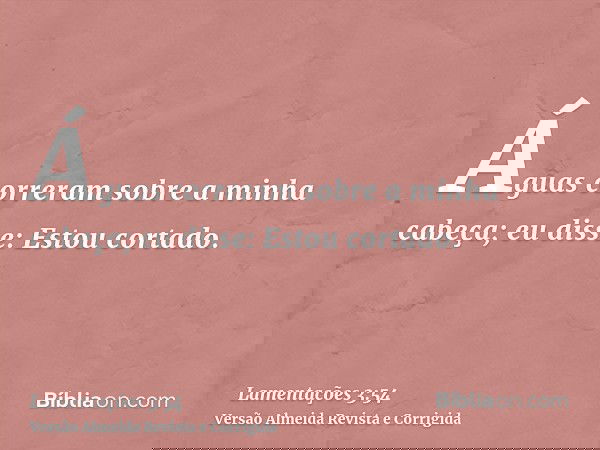 Águas correram sobre a minha cabeça; eu disse: Estou cortado.