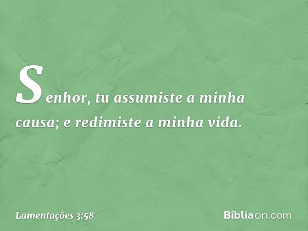 Senhor, tu assumiste a minha causa;
e redimiste a minha vida. -- Lamentações 3:58