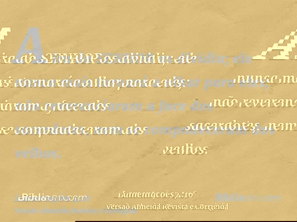 A ira do SENHOR os dividiu; ele nunca mais tornará a olhar para eles; não reverenciaram a face dos sacerdotes, nem se compadeceram dos velhos.