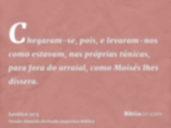 Chegaram-se, pois, e levaram-nos como estavam, nas próprias túnicas, para fora do arraial, como Moisés lhes dissera.