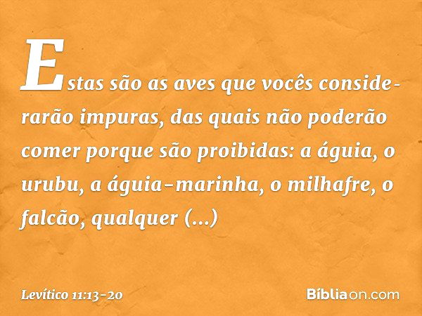 "Estas são as aves que vocês conside­rarão impuras, das quais não poderão comer porque são proibidas: a águia, o urubu, a águia-marinha, o milhafre, o falcão, q