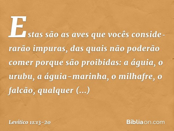 "Estas são as aves que vocês conside­rarão impuras, das quais não poderão comer porque são proibidas: a águia, o urubu, a águia-marinha, o milhafre, o falcão, q