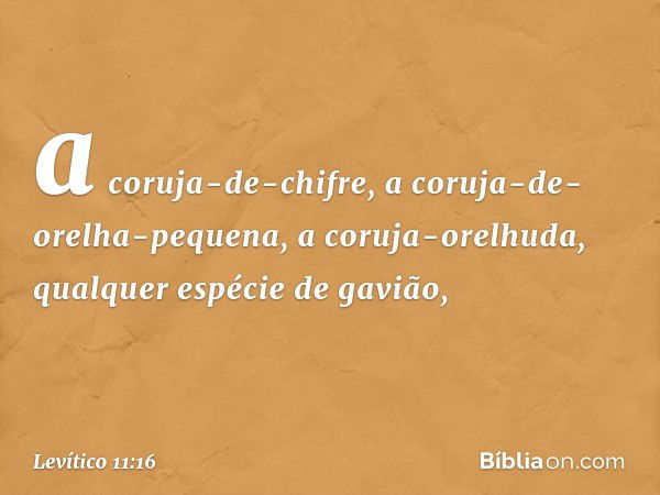 a coruja-de-chifre, a coruja-de-orelha-pequena, a coruja-orelhuda, qual­quer espécie de gavião, -- Levítico 11:16