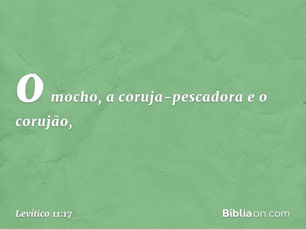 o mocho, a coruja-pescado­ra e o corujão, -- Levítico 11:17